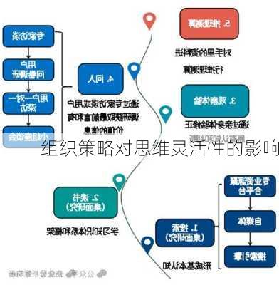 组织策略对思维灵活性的影响