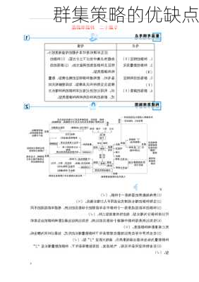 群集策略的优缺点