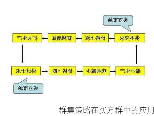 群集策略在买方群中的应用