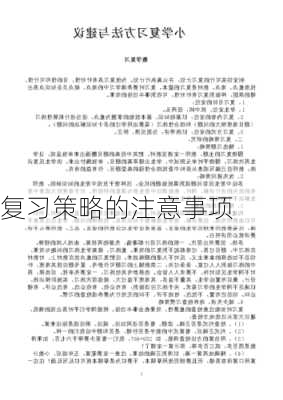 复习策略的注意事项