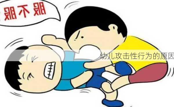 幼儿攻击性行为的原因