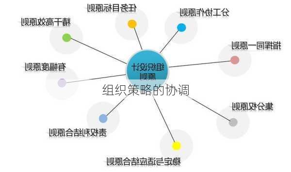 组织策略的协调