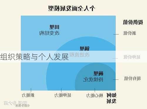 组织策略与个人发展
