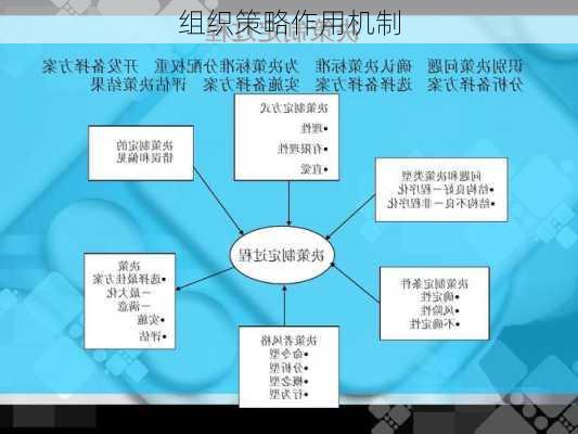 组织策略作用机制