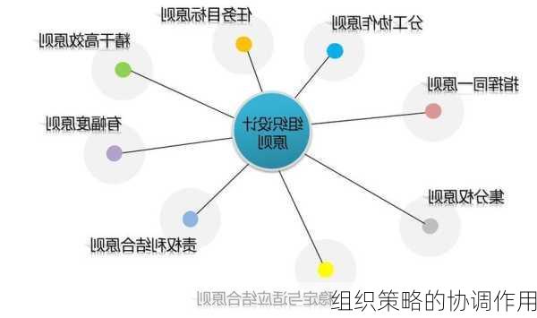 组织策略的协调作用