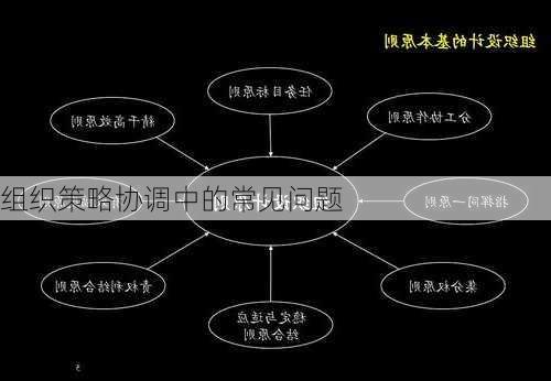 组织策略协调中的常见问题