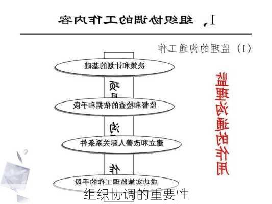 组织协调的重要性