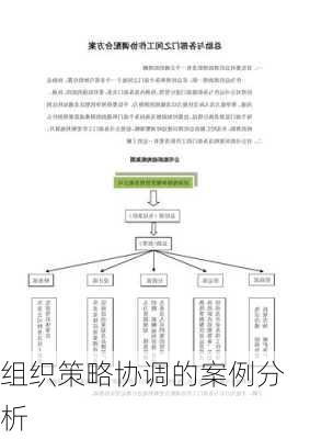 组织策略协调的案例分析