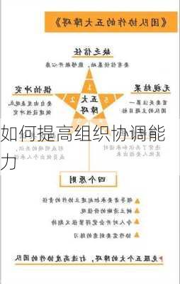 如何提高组织协调能力