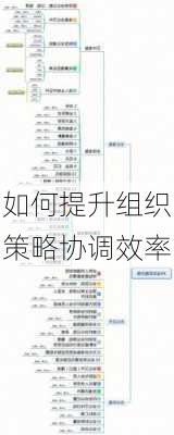 如何提升组织策略协调效率