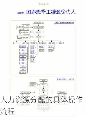 人力资源分配的具体操作流程