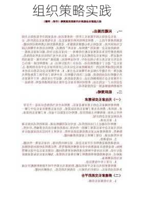 组织策略实践