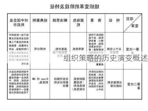 组织策略的历史演变概述