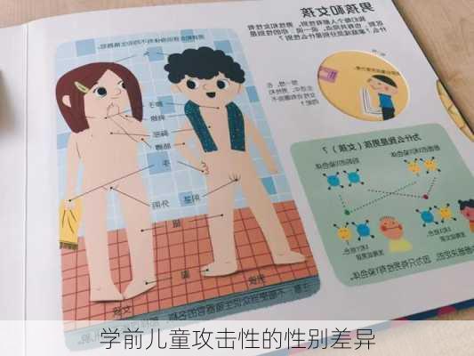 学前儿童攻击性的性别差异