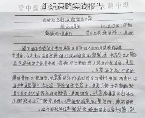 组织策略实践报告