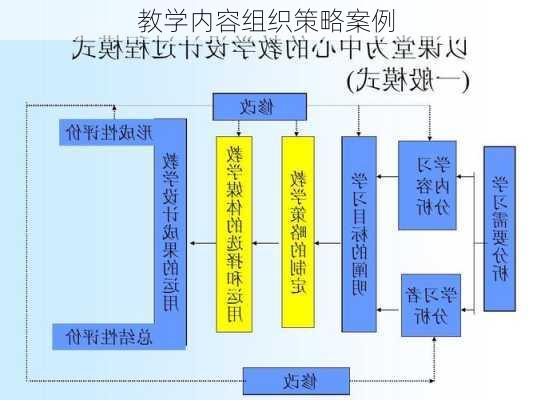 教学内容组织策略案例