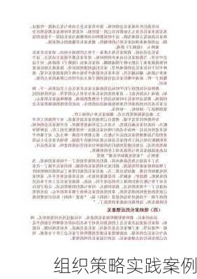组织策略实践案例