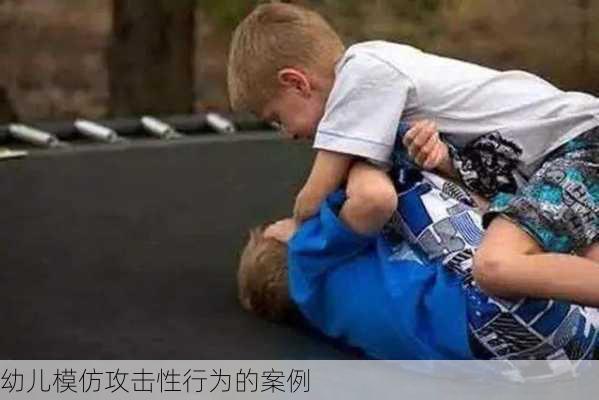 幼儿模仿攻击性行为的案例