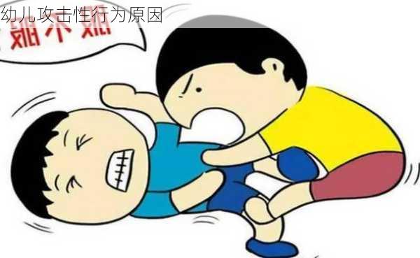 幼儿攻击性行为原因
