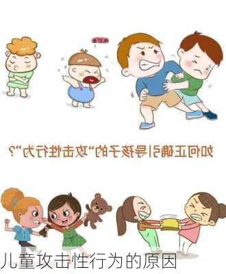 儿童攻击性行为的原因