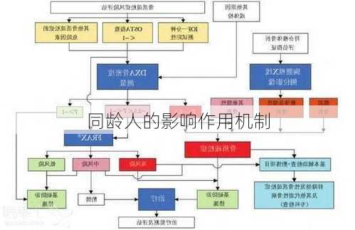 同龄人的影响作用机制