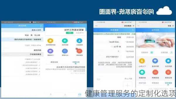 健康管理服务的定制化选项