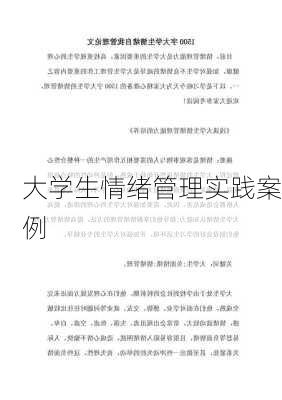 大学生情绪管理实践案例