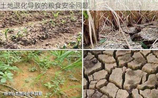 土地退化导致的粮食安全问题