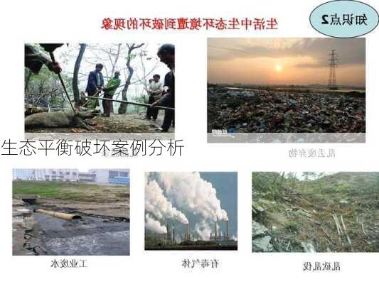 生态平衡破坏案例分析