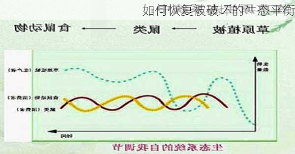 如何恢复被破坏的生态平衡
