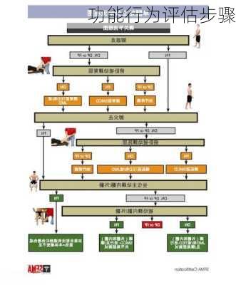功能行为评估步骤