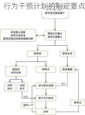 行为干预计划的制定要点