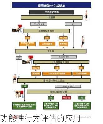 功能性行为评估的应用