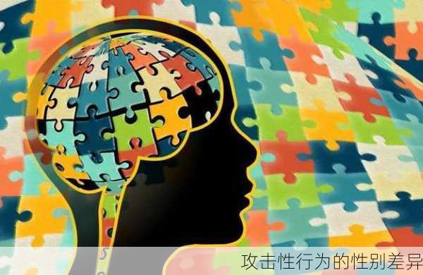 攻击性行为的性别差异