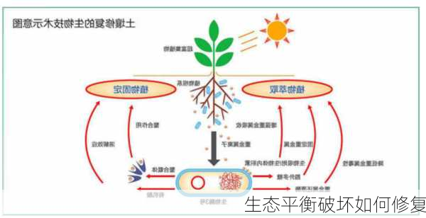 生态平衡破坏如何修复