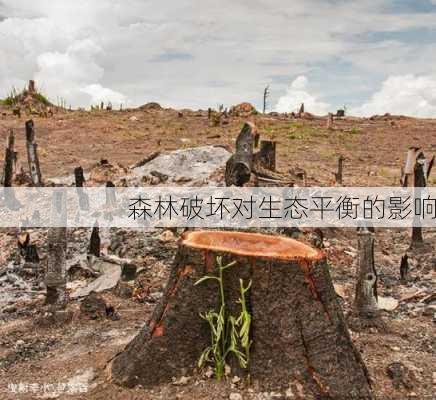 森林破坏对生态平衡的影响