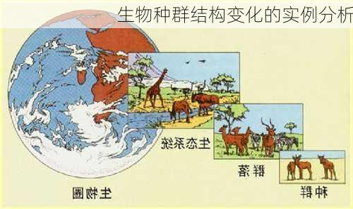 生物种群结构变化的实例分析