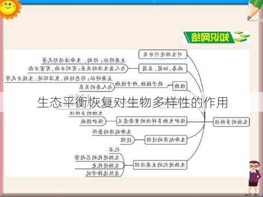 生态平衡恢复对生物多样性的作用