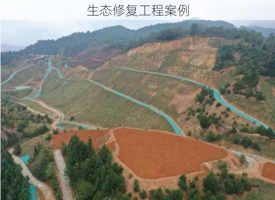 生态修复工程案例