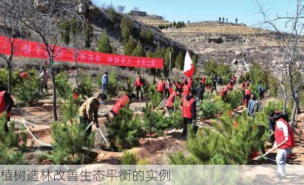 植树造林改善生态平衡的实例