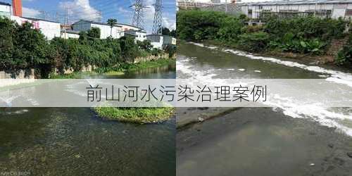 前山河水污染治理案例