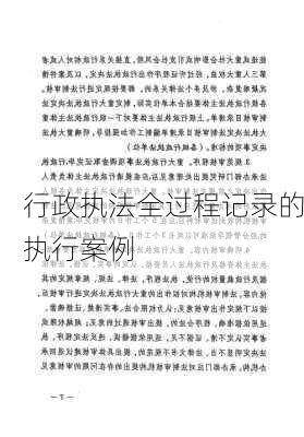 行政执法全过程记录的执行案例