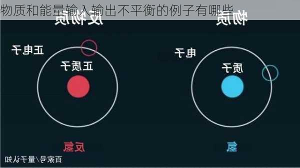 物质和能量输入输出不平衡的例子有哪些