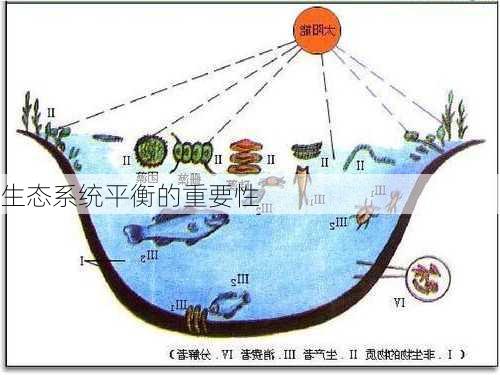 生态系统平衡的重要性
