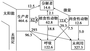 如何应用Ecopath评估生态系统的能量平衡