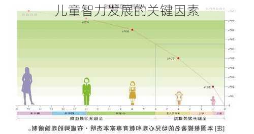 儿童智力发展的关键因素