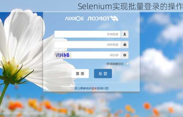 Selenium实现批量登录的操作