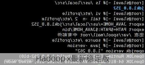 Hadoop x最新稳定版