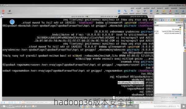 hadoop36版本安全性