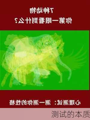 测试的本质